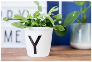 Das Homeoffice auf dem Land - ein Update für euch — hafenmaedchen